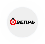 Вепрь