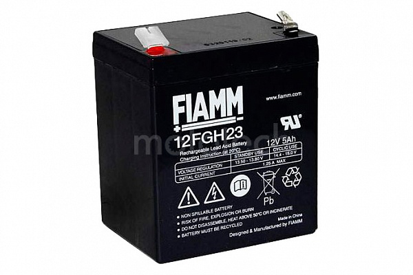 FIAMM 12FGH36